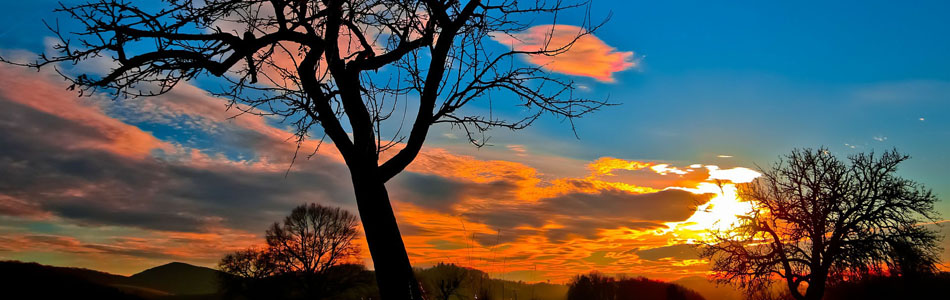 网站攻击软件工具