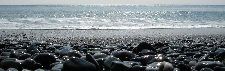 网站攻击软件工具