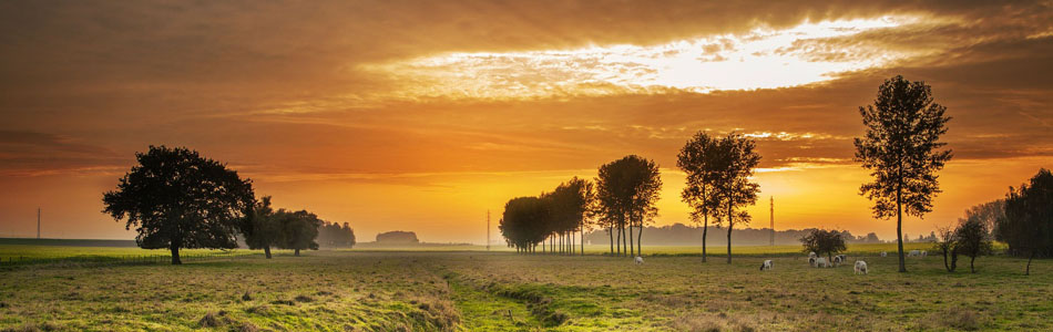 网站攻击工具手机版